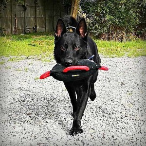 Подушка кусалка из french linen для дрессировки овчарки «Tug toy» 